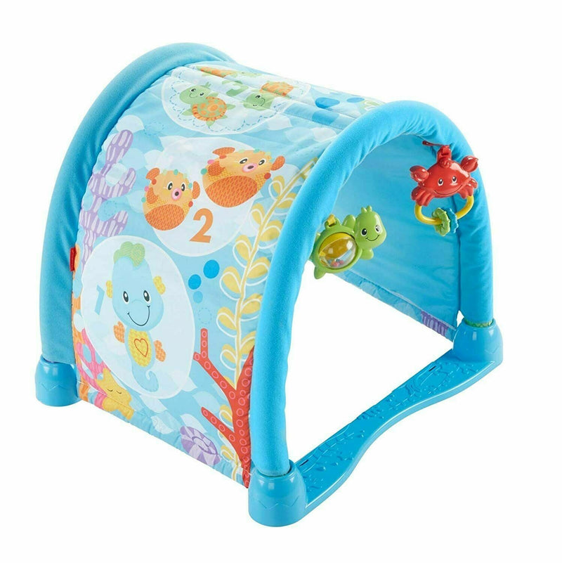 Fisher Price Seahorse Gym Play Mat