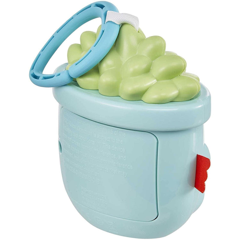 Fisher-Price Soothe & Go Succulent Portable Infant Soother
